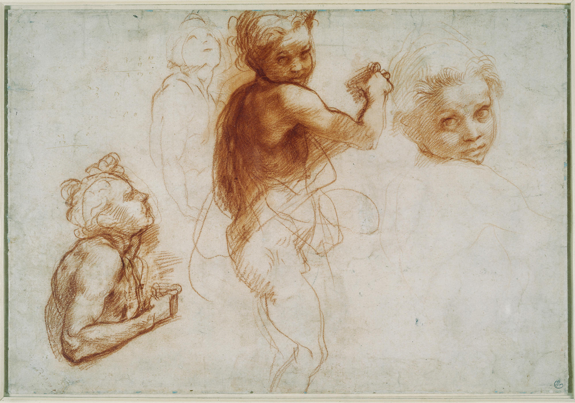 'Four Studies of a Child', c1520. Studies for the painting 'Virgin and Child with the Infant St John the Baptist' in which John the Baptist faces the opposite direction. 