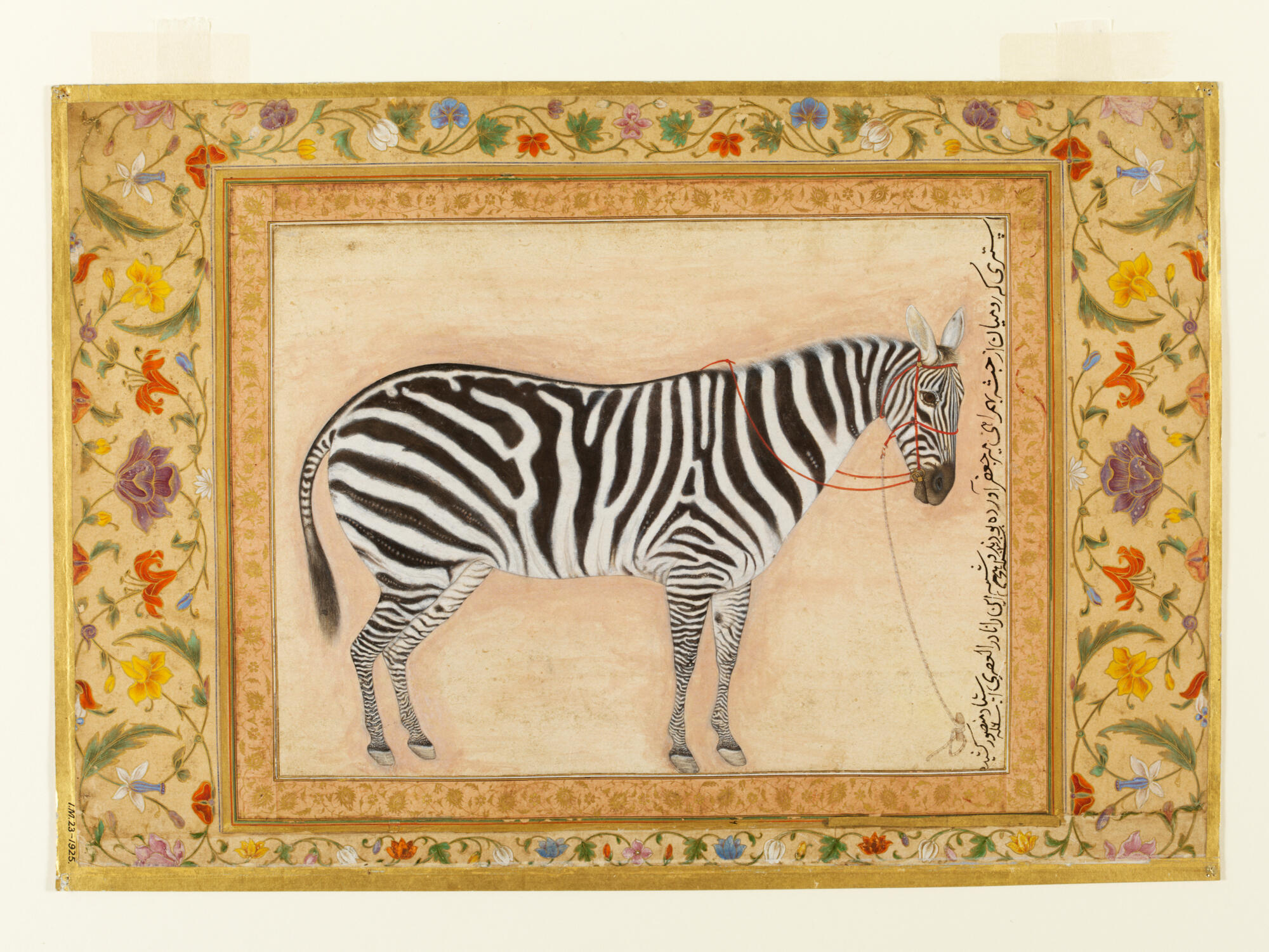 Emperor Jahangir's Zebra. Gouache on paper. Moghul dynasty. 1621. 18.3 x 24.1 cm. Inv.: IM23-1925.